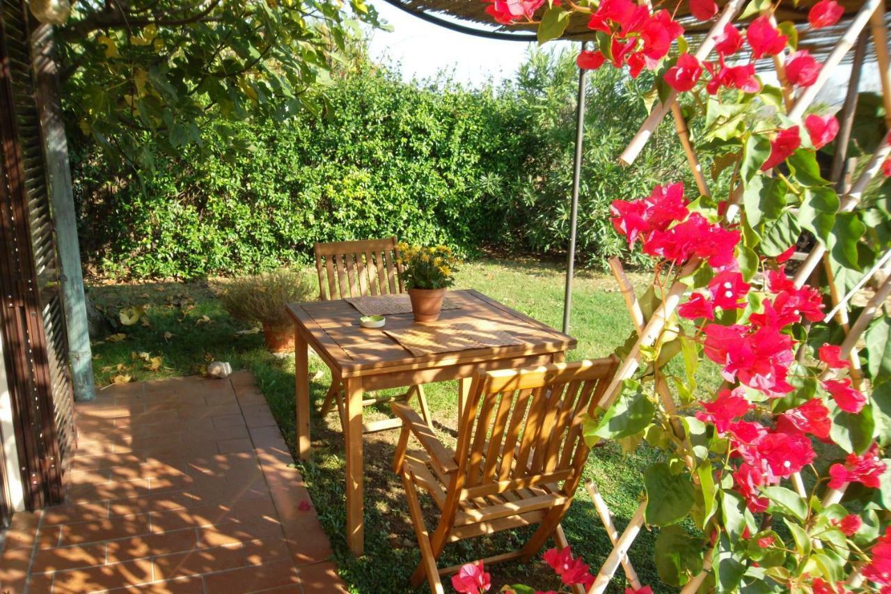 Agriturismo Sicomoro Villa Capalbio Esterno foto